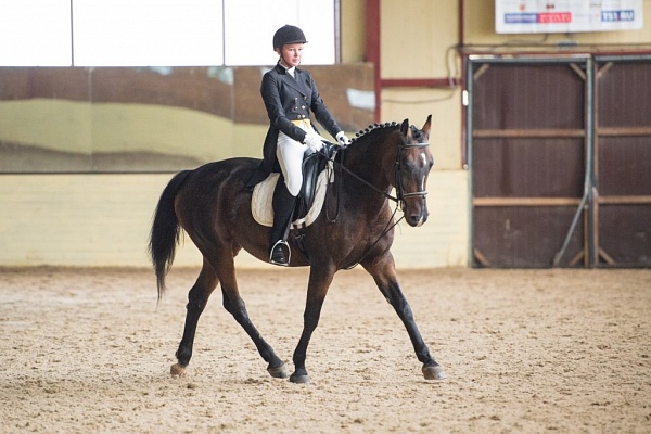 Обучение верховой езде в Чебоксарах. Сервис Ultra Подарки. Купить обучение верховой езде в Чебоксарах. Вы сможете попробовать курс по верховой езде и конные прогулки. Сервис UltraPodarki.ru 8 800 505 95 30. Обучение верховой езде, верховая езда в Чебоксарах, верховая езда Чебоксары, конный спорт, уроки верховой езды, школа верховой езды, конные прогулки, верховая езда, школа верховой езды в Чебоксарах, конные прогулки в Чебоксарах, обучение верховой езде в Чебоксарах, конный спорт в Чебоксарах, уроки верховой езды в Чебоксарах