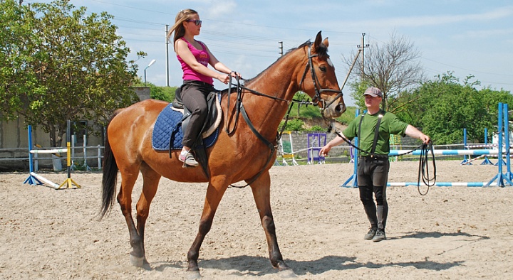 Обучение верховой езде в Чебоксарах. Сервис Ultra Подарки. Купить обучение верховой езде в Чебоксарах. Вы сможете попробовать курс по верховой езде и конные прогулки. Сервис UltraPodarki.ru 8 800 505 95 30. Обучение верховой езде, верховая езда в Чебоксарах, верховая езда Чебоксары, конный спорт, уроки верховой езды, школа верховой езды, конные прогулки, верховая езда, школа верховой езды в Чебоксарах, конные прогулки в Чебоксарах, обучение верховой езде в Чебоксарах, конный спорт в Чебоксарах, уроки верховой езды в Чебоксарах